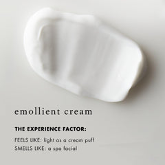 Bioelements Crucial Moisture spatula-use ensures clean application.