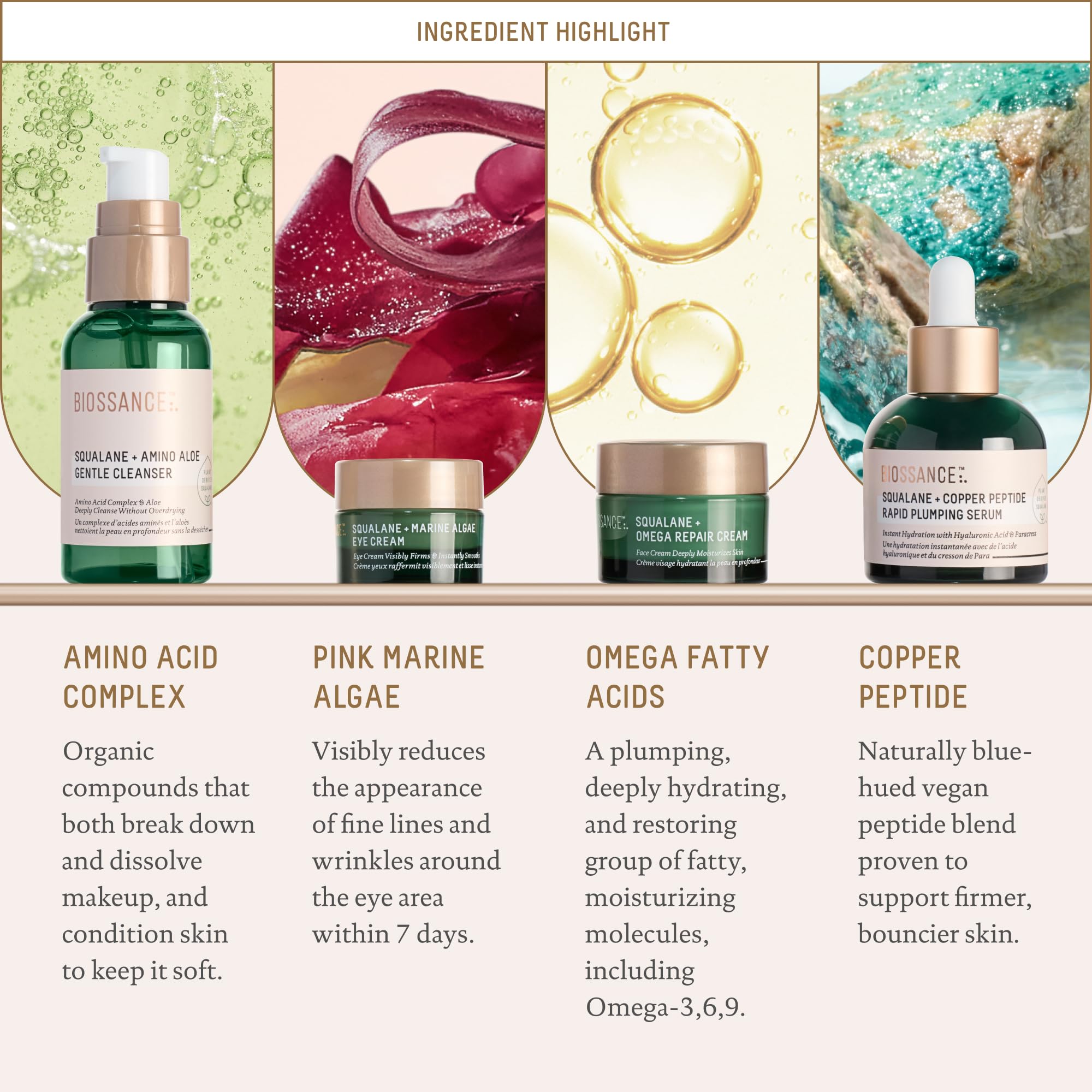 BIOSSANCE Omega Moisturizer Face jar sealing in hydration