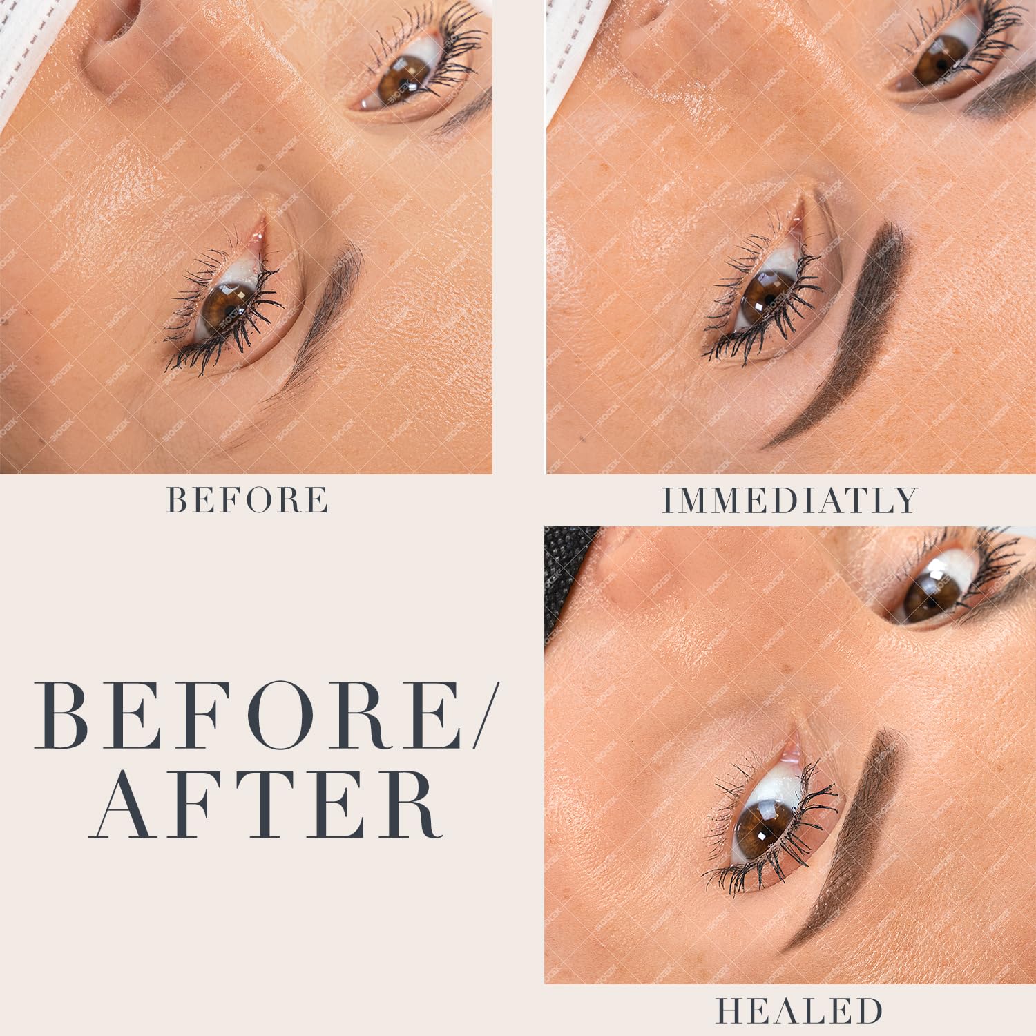Biotek Moscow brow pigment offers stable color with full coverage potential.
