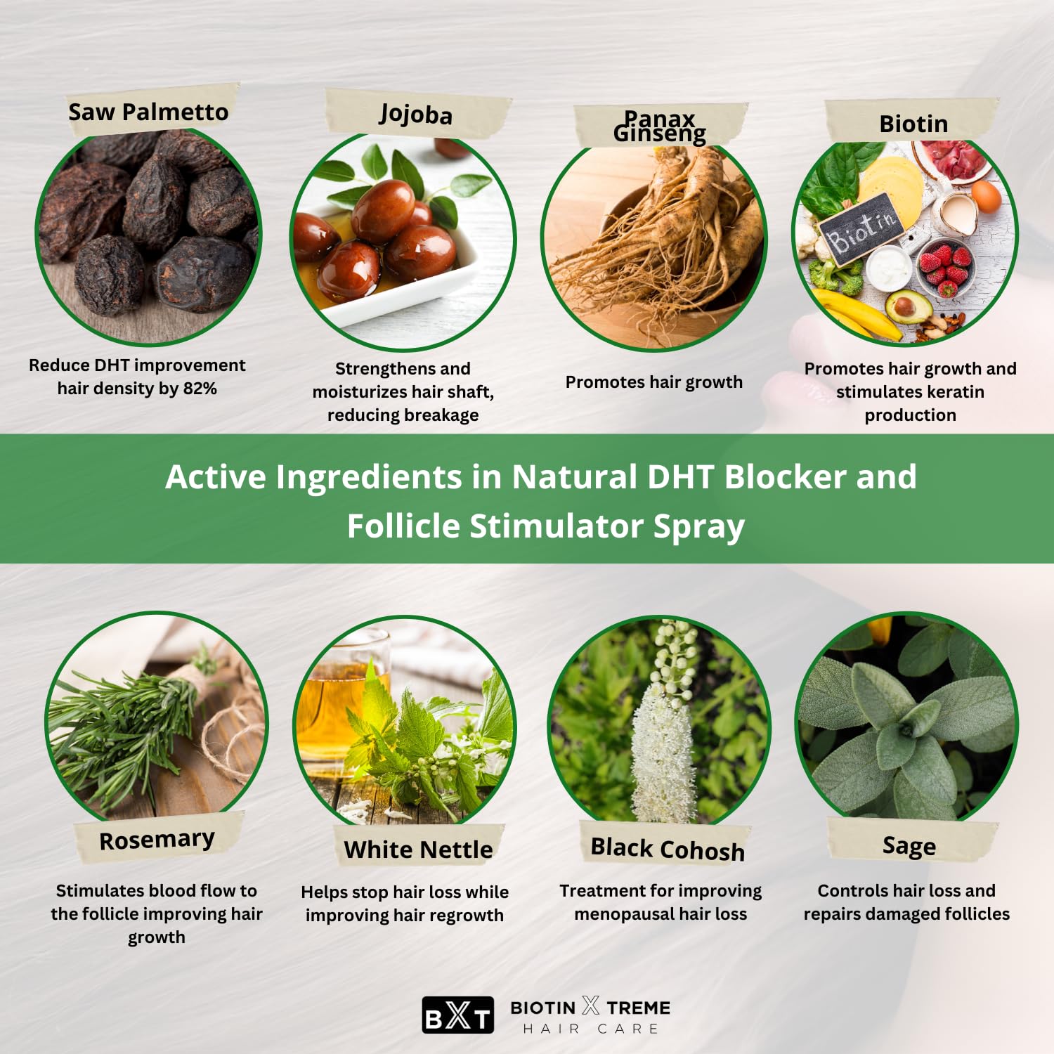 Biotin X Treme – ingrédients naturels romarin et sauge présentés pour revitalisation