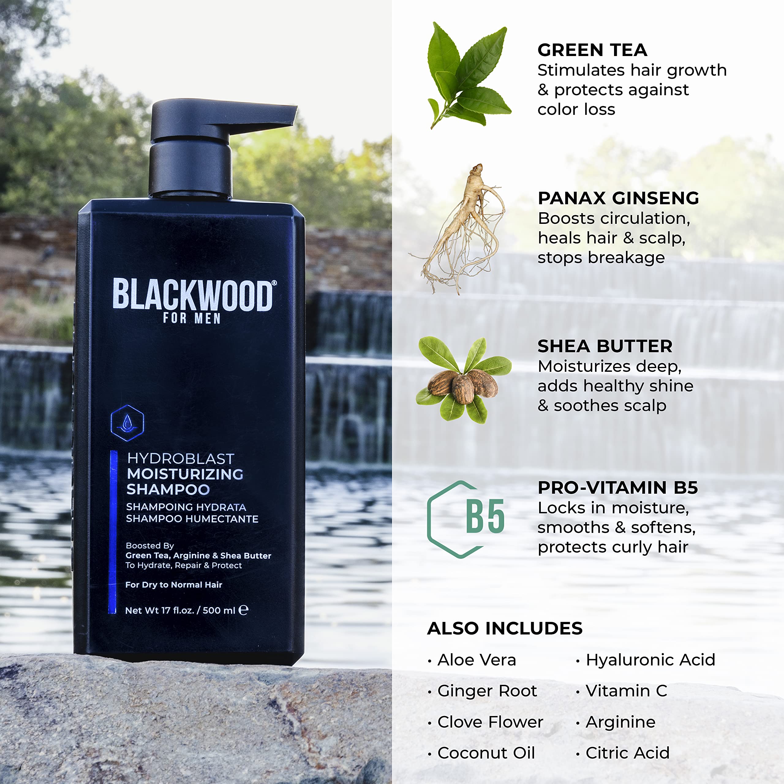 Ginger root and Aloe Vera detail from Blackwood For Men Hydroblast formula.