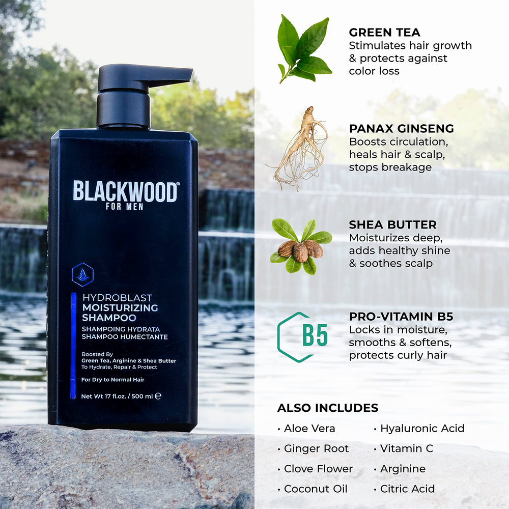 Ginger root and Aloe Vera detail from Blackwood For Men Hydroblast formula.