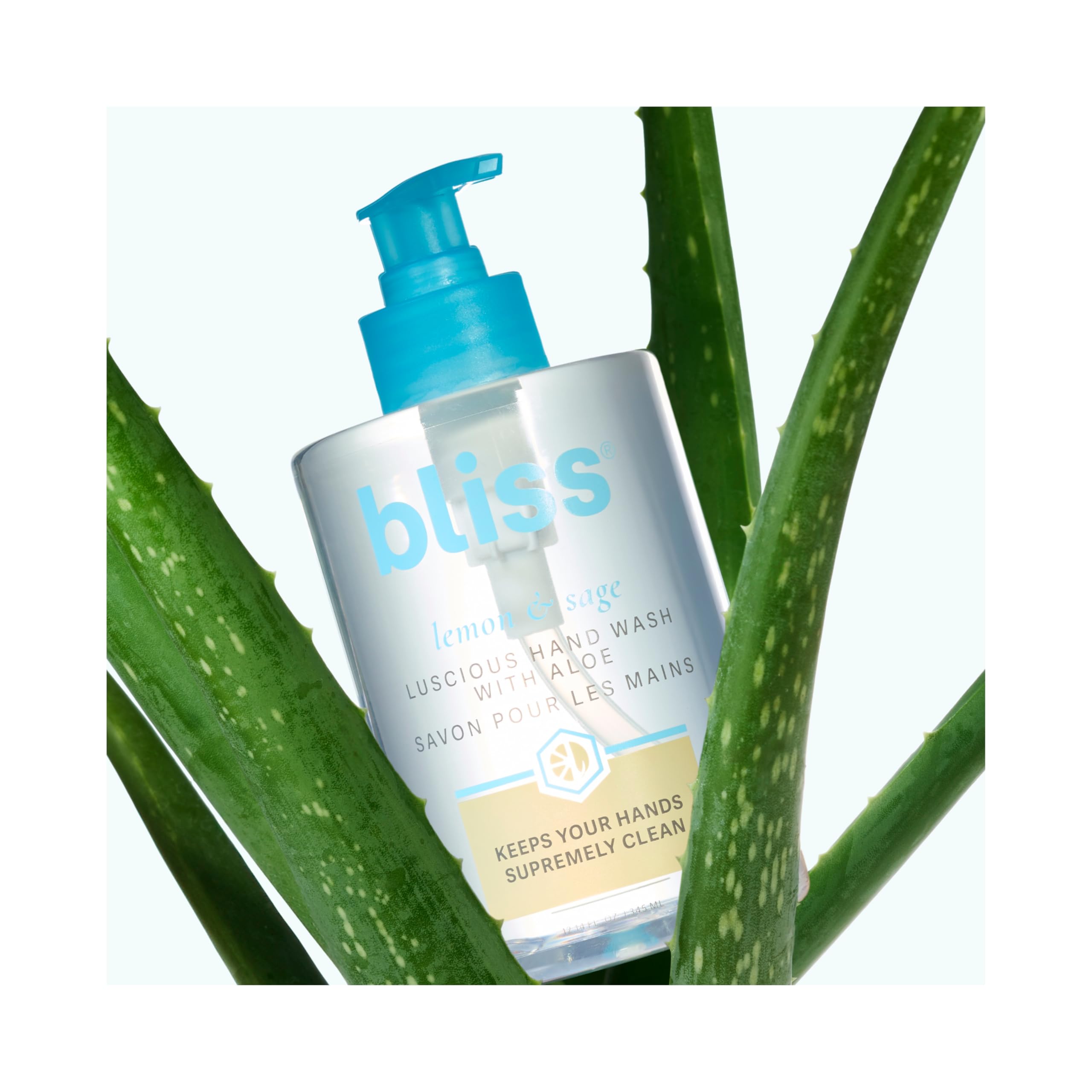 Bliss brand logo in a spa inspired setup inviting daily use