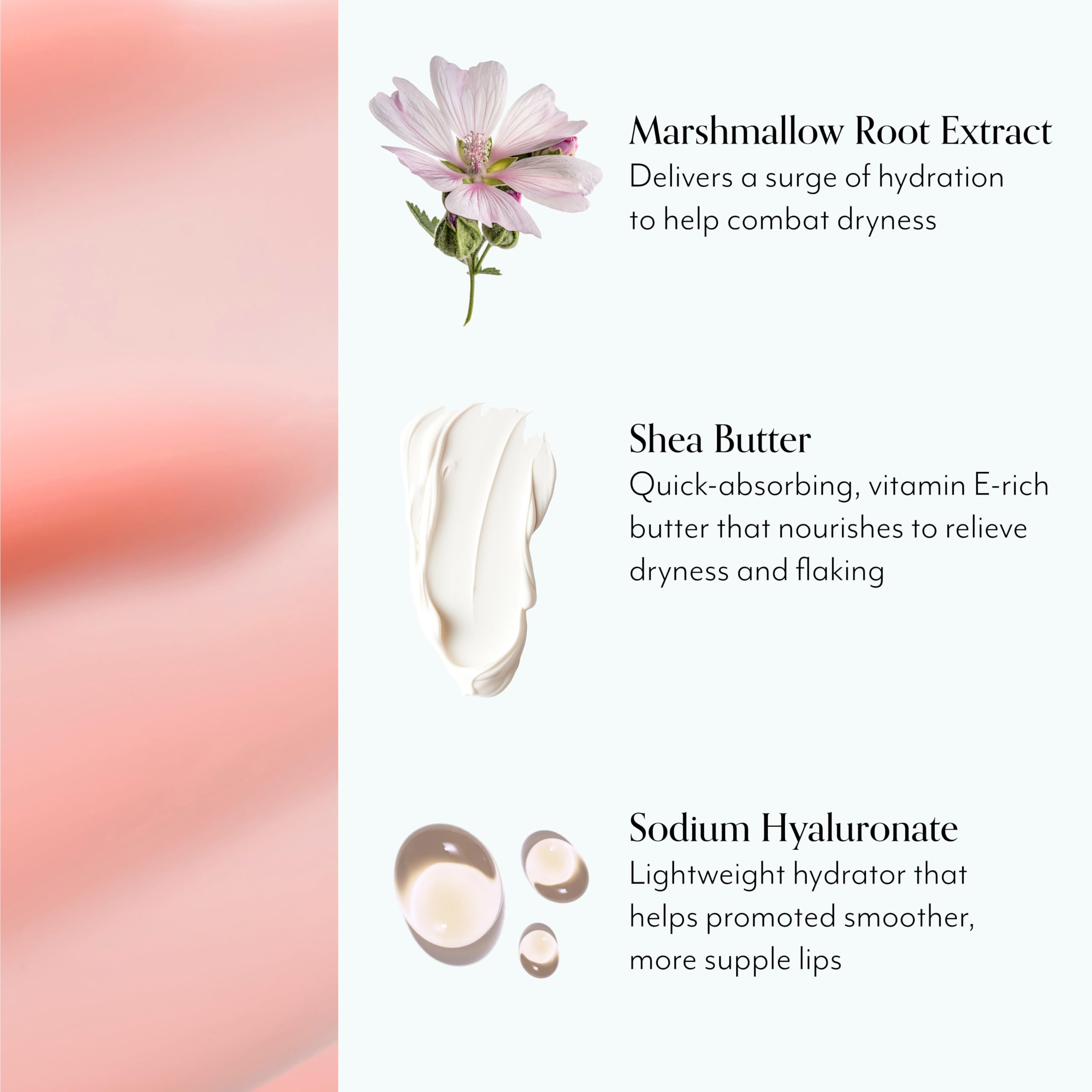 Marshmallow root extract graphic emphasizes deep hydration and smooth lips