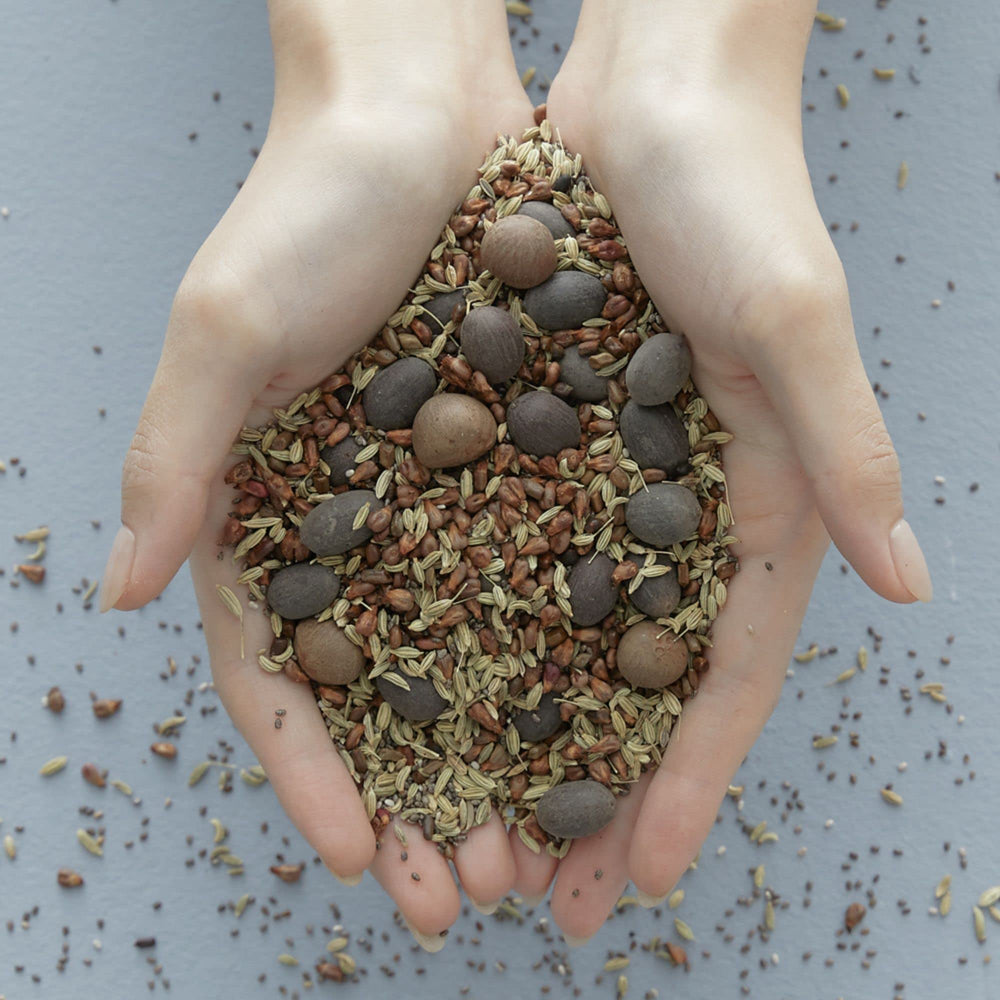 BLITHE Vital Treatment with green tea extracts promotes antioxidant-rich skin care.