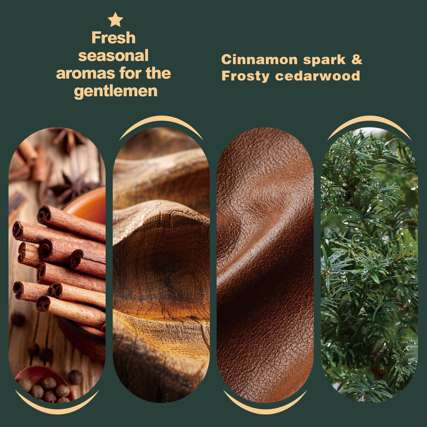 BODY & EARTH beard oil bottle close-up, sandalwood cedar scent, daily conditioning