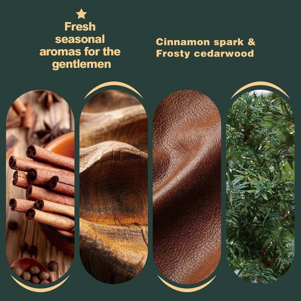 BODY & EARTH beard oil bottle close-up, sandalwood cedar scent, daily conditioning