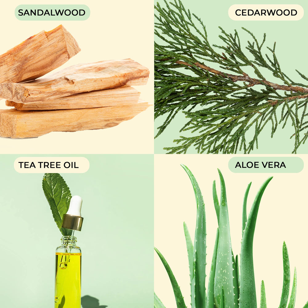 Body Prescriptions cruelty-free formula with safe ingredients supports daily exfoliation.