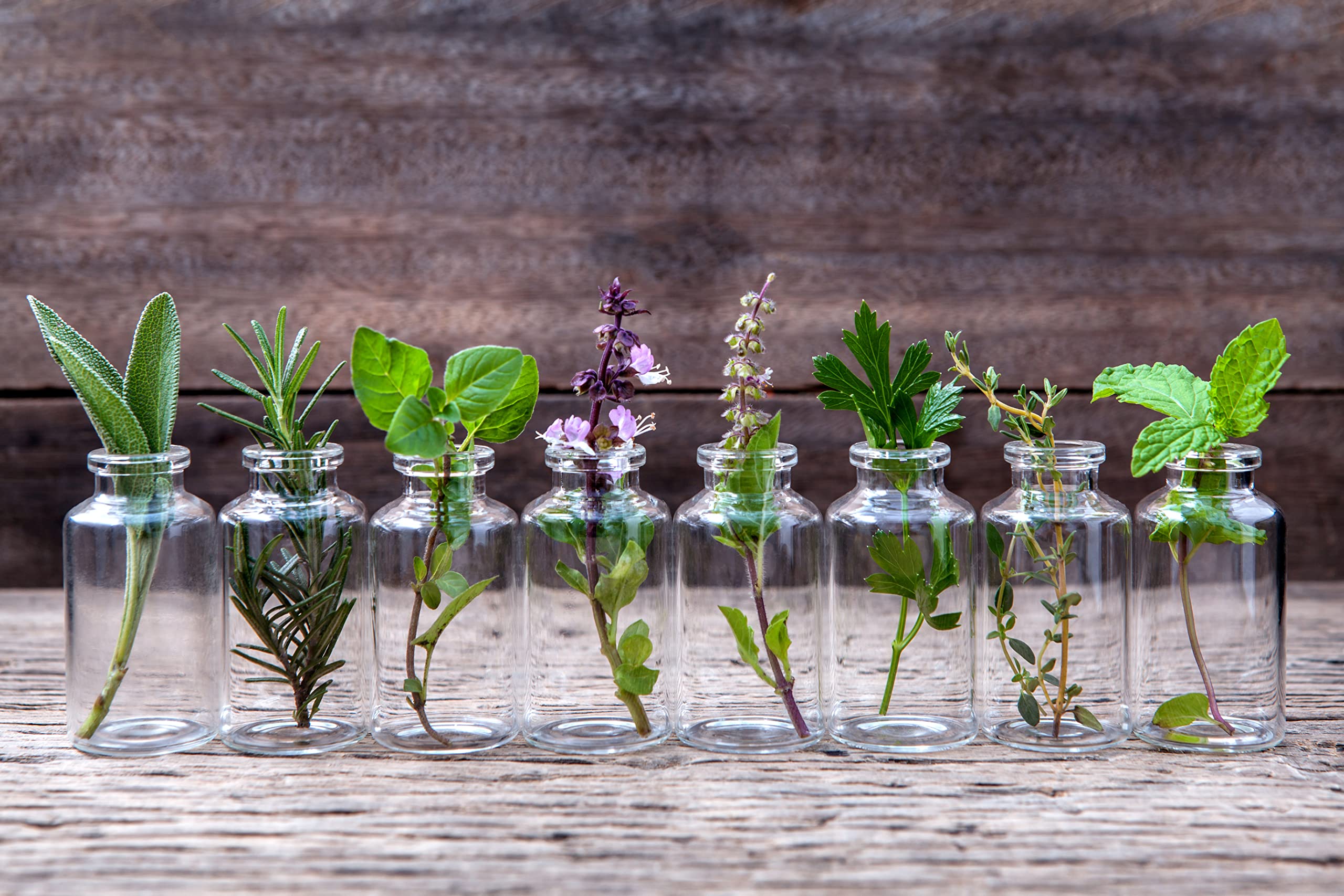 Ginger and patchouli notes help with balanced focus in this blend.