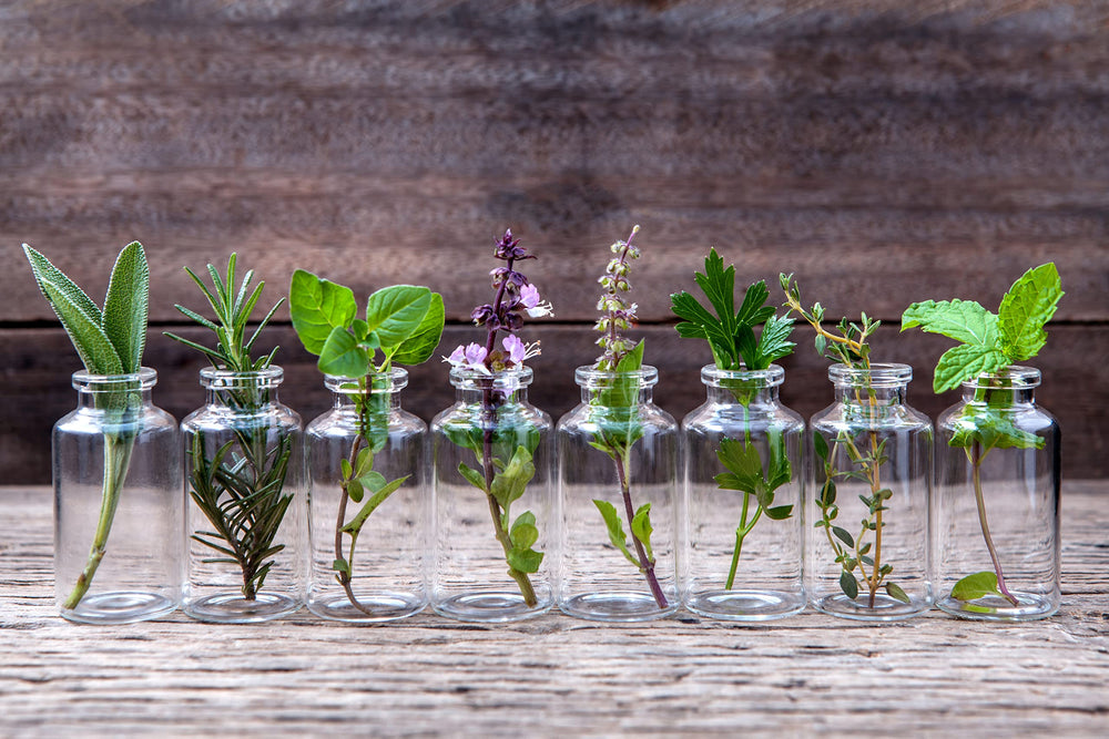 Ginger and patchouli notes help with balanced focus in this blend.