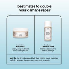 BondiBoost Hair Masque application steps showing root-to-end usage for conditioning