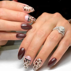 Born Pretty Brown Chocolate swatches displaying deep caramel hues on nails