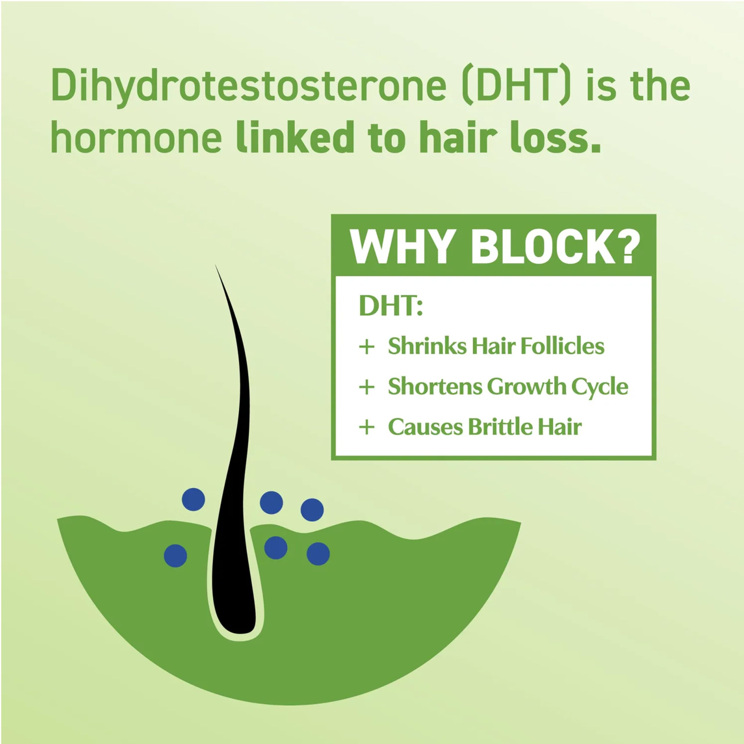 BosleyMD DHT-7 Blend includes dandelion root for gentle daily hair care