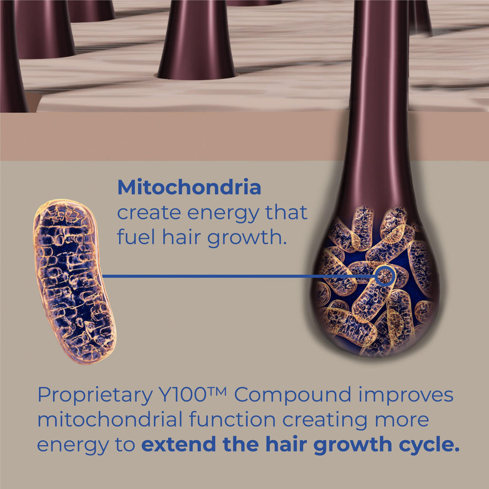 YuvaBio Y100, biotin, and pumpkin seed oil influence in BosleyMD products