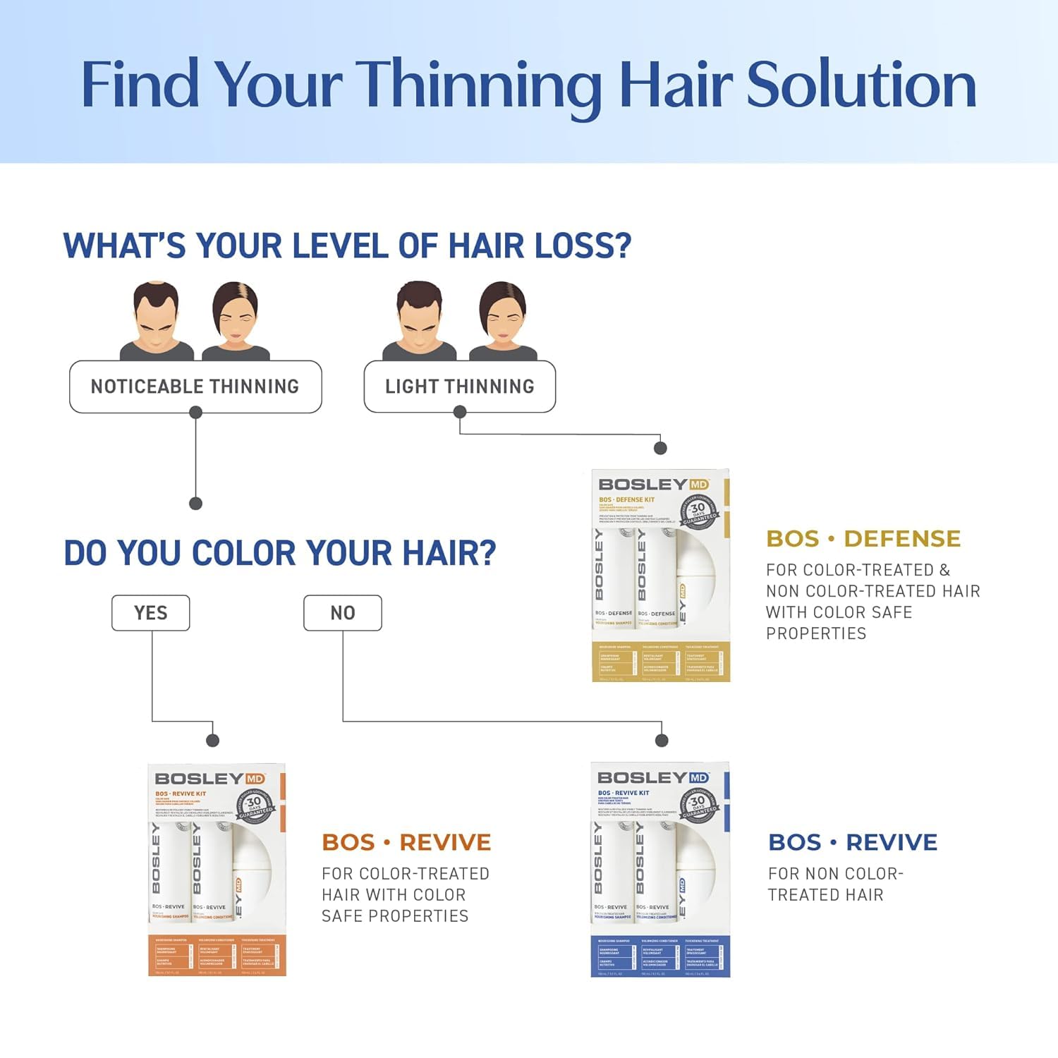 Saw Palmetto illustration highlighting scalp support and hair vitality