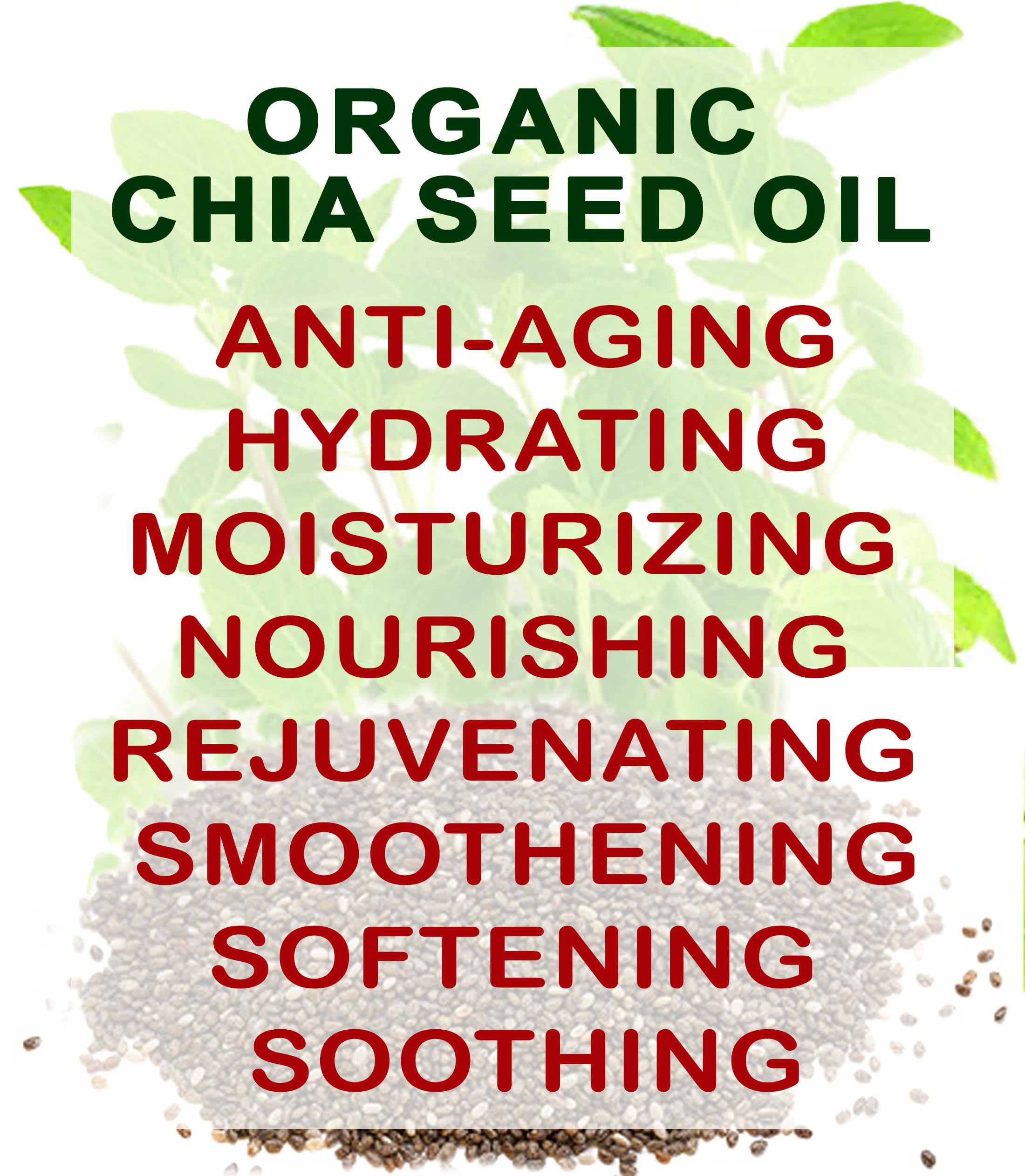 Botanical Beauty Chia Seed Oil shown in a daily skincare routine setup.