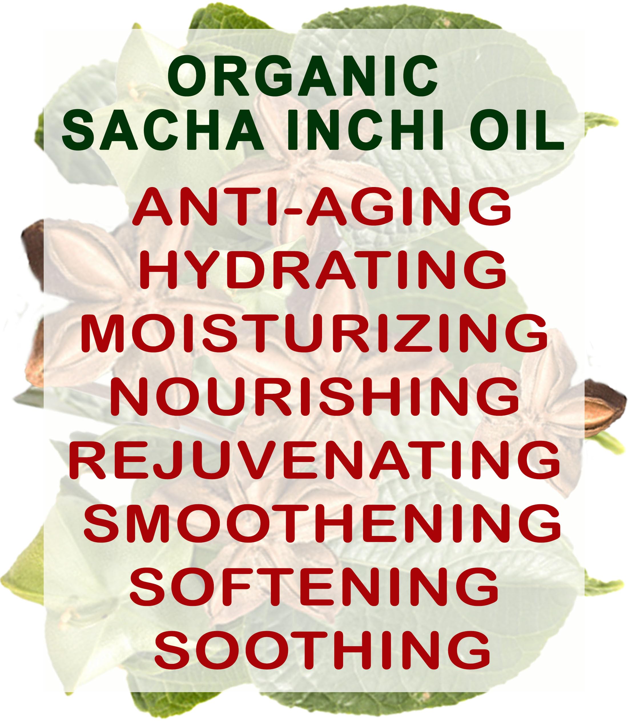 Botanical Beauty Sacha Inchi Oil works as massage oil.