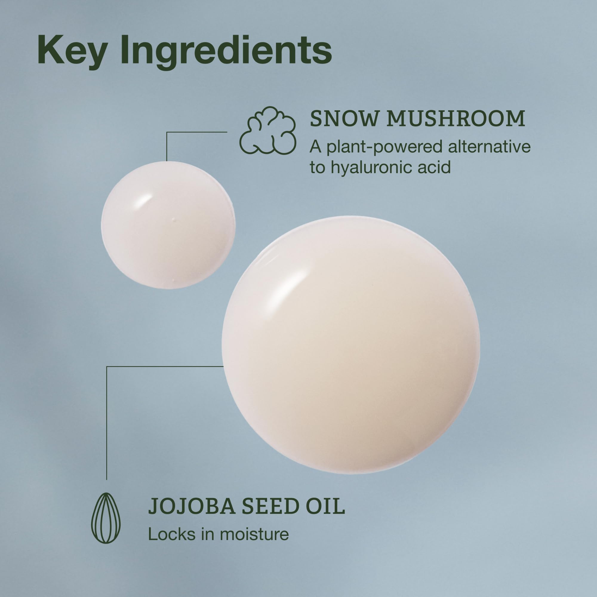 Botanics Hydrating Serum Snow Mushroom close-up highlighting hydration