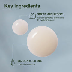 Botanics Hydrating Serum Snow Mushroom close-up highlighting hydration