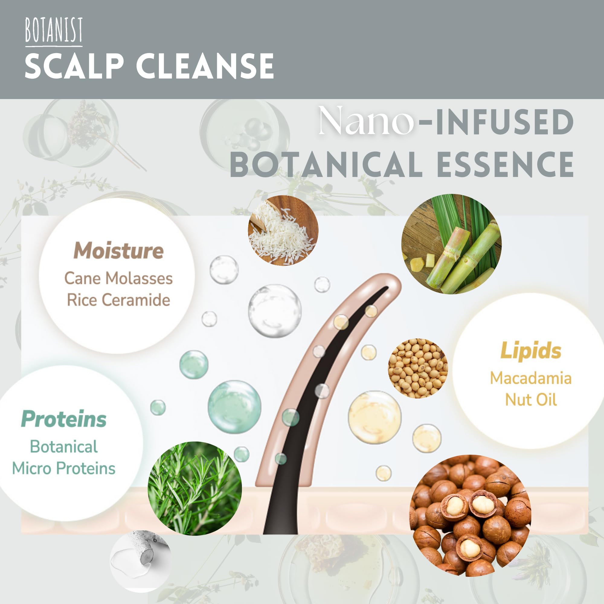 Botanist nano-infused nourishment from roots to tips for lasting hydration.