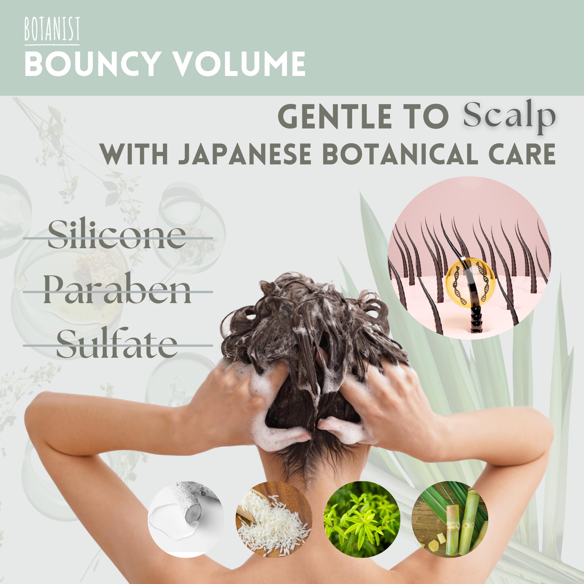 Botanist Natural-origin ingredients illustration highlights botanical extracts.