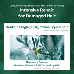 Botanist oil enriched with olive squalane for smoothness.