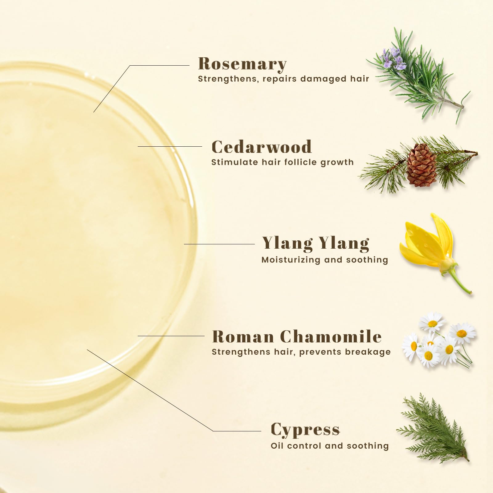 BOTANQUIL Rosemary Shampoo label highlights a clean, sulfate-free formula.