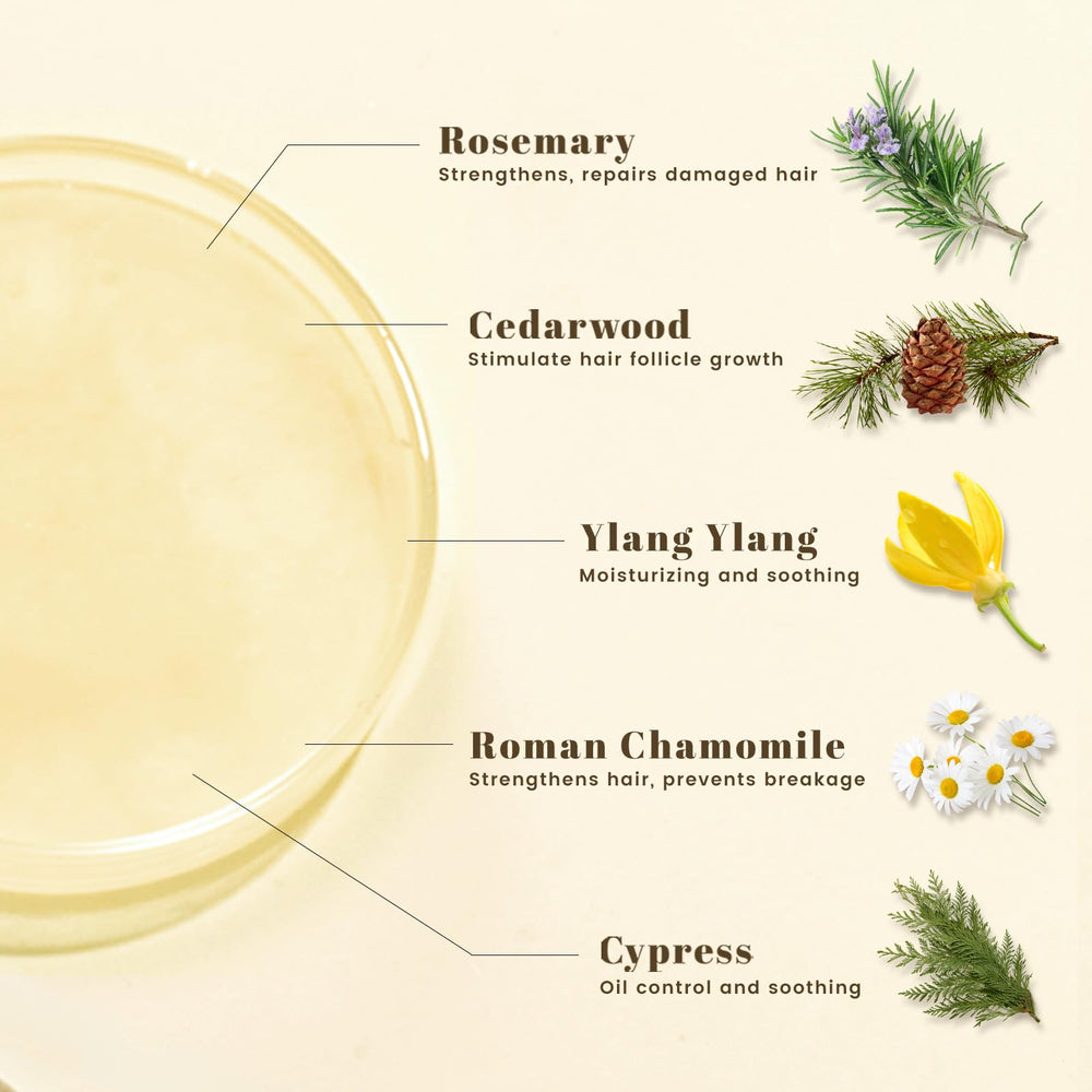 BOTANQUIL Rosemary Shampoo label highlights a clean, sulfate-free formula.