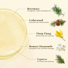 BOTANQUIL Rosemary Shampoo label highlights a clean, sulfate-free formula.