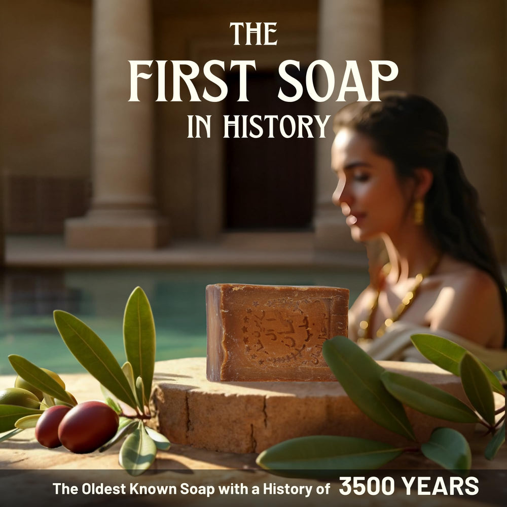 BOX 4 BODY Aleppo soap highlights laurel oil and olive oil ingredients