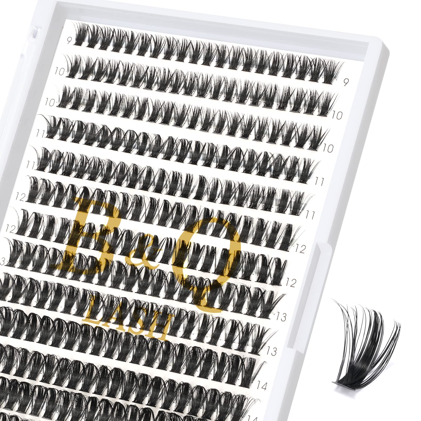 BQaugen false eyelash tray with 280 clusters for versatile looks.