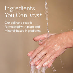 Branch Basics gel hand soap ingredients: aloe, chamomile, meadowfoam.