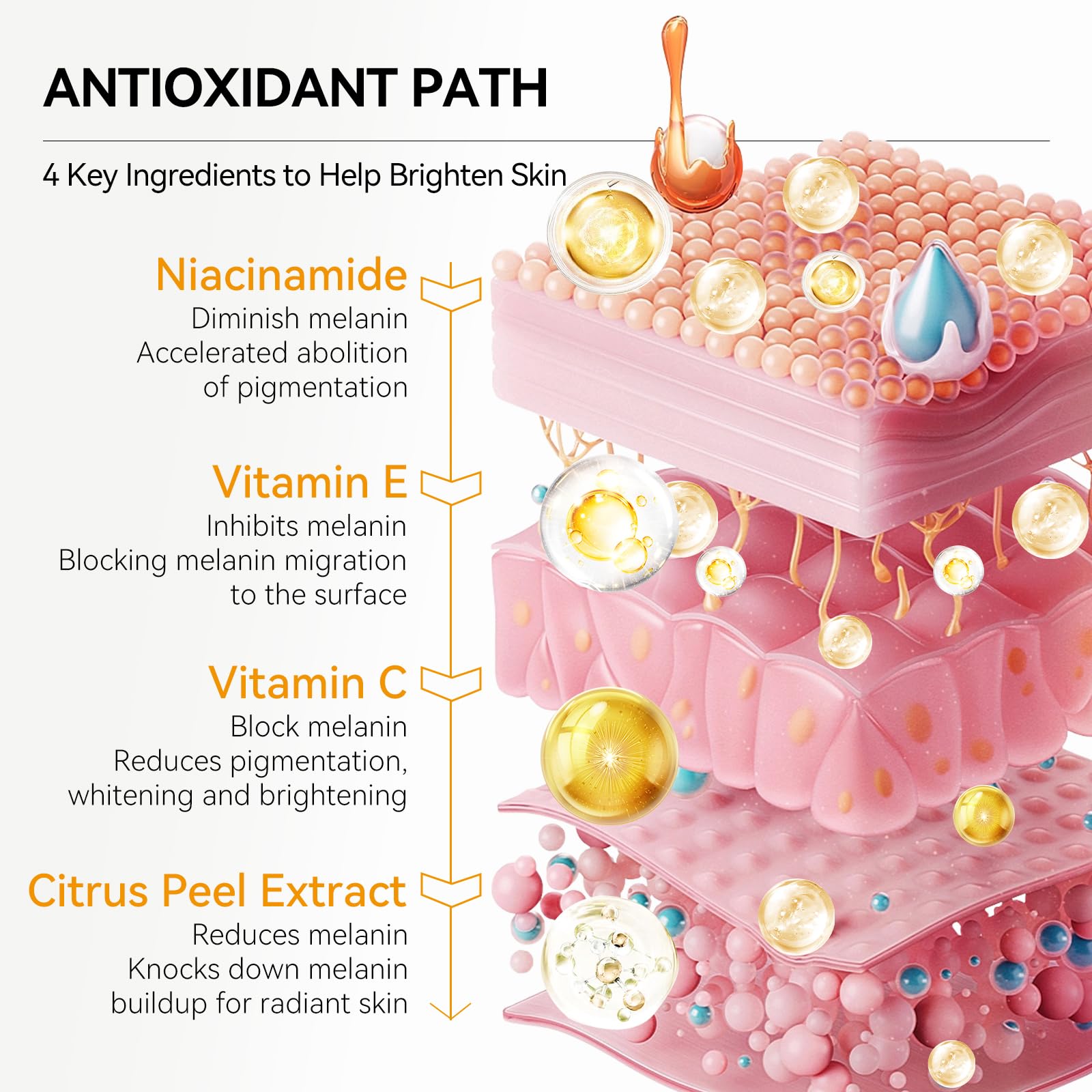BREYLEE Vitamin C Serum retinol-enhanced formula highlights nourishing anti-aging care.