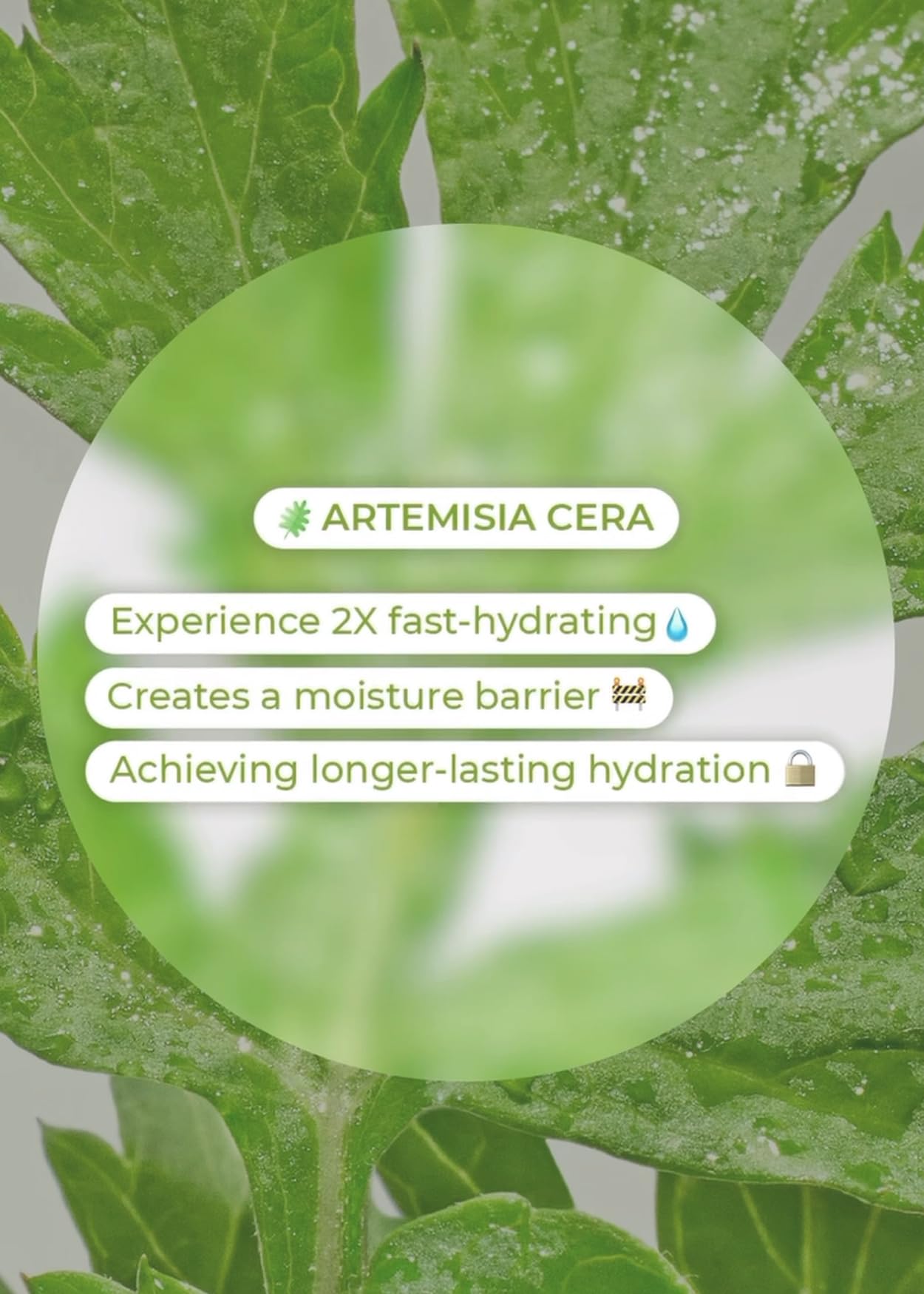 BRING GREEN Artemisia Toner ingredients ceramide highlight calming, moisture-supporting formula.