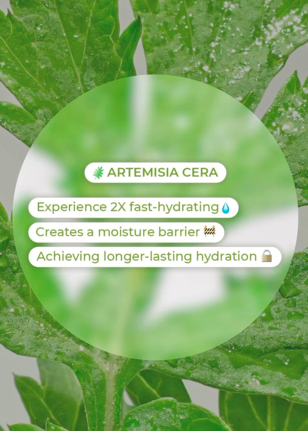 BRING GREEN Artemisia Toner ingredients ceramide highlight calming, moisture-supporting formula.