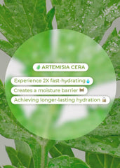 BRING GREEN Artemisia Toner ingredients ceramide highlight calming, moisture-supporting formula.