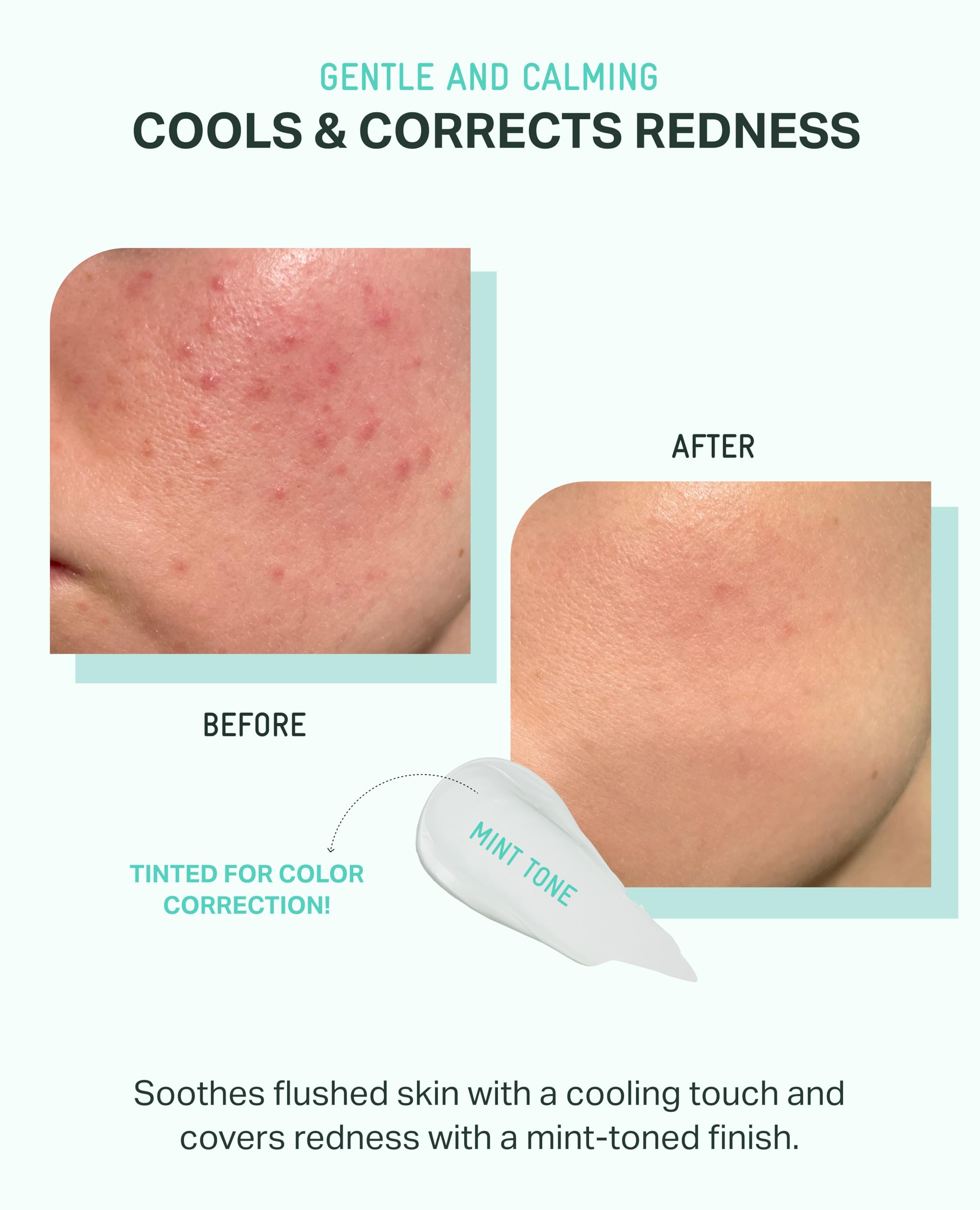 Ingredient focus on BRING GREEN Tea Tree CICA Sun Cushion with redness calming effects.