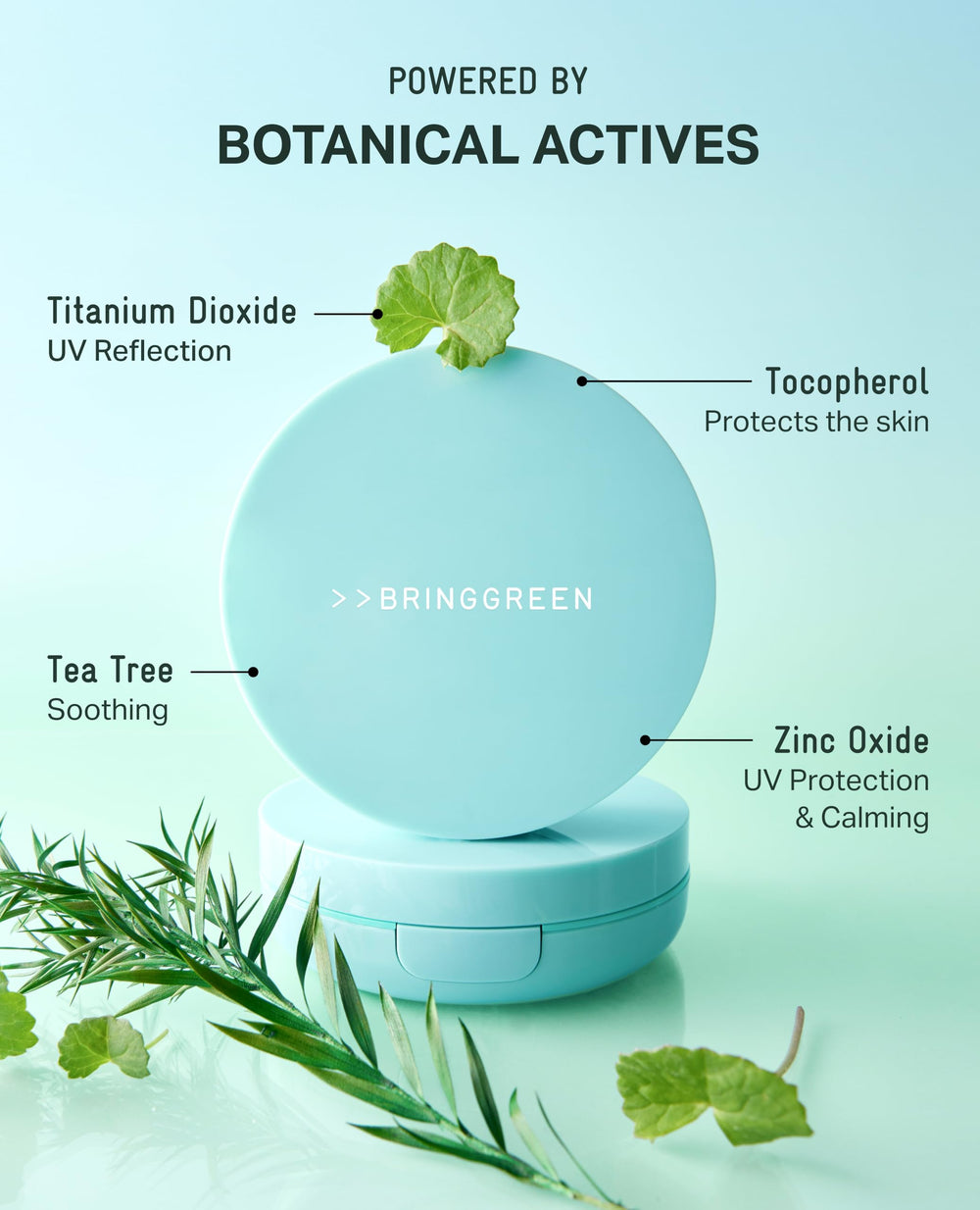 Zinc oxide detail on BRING GREEN Tea Tree CICA Sun Cushion packaging.