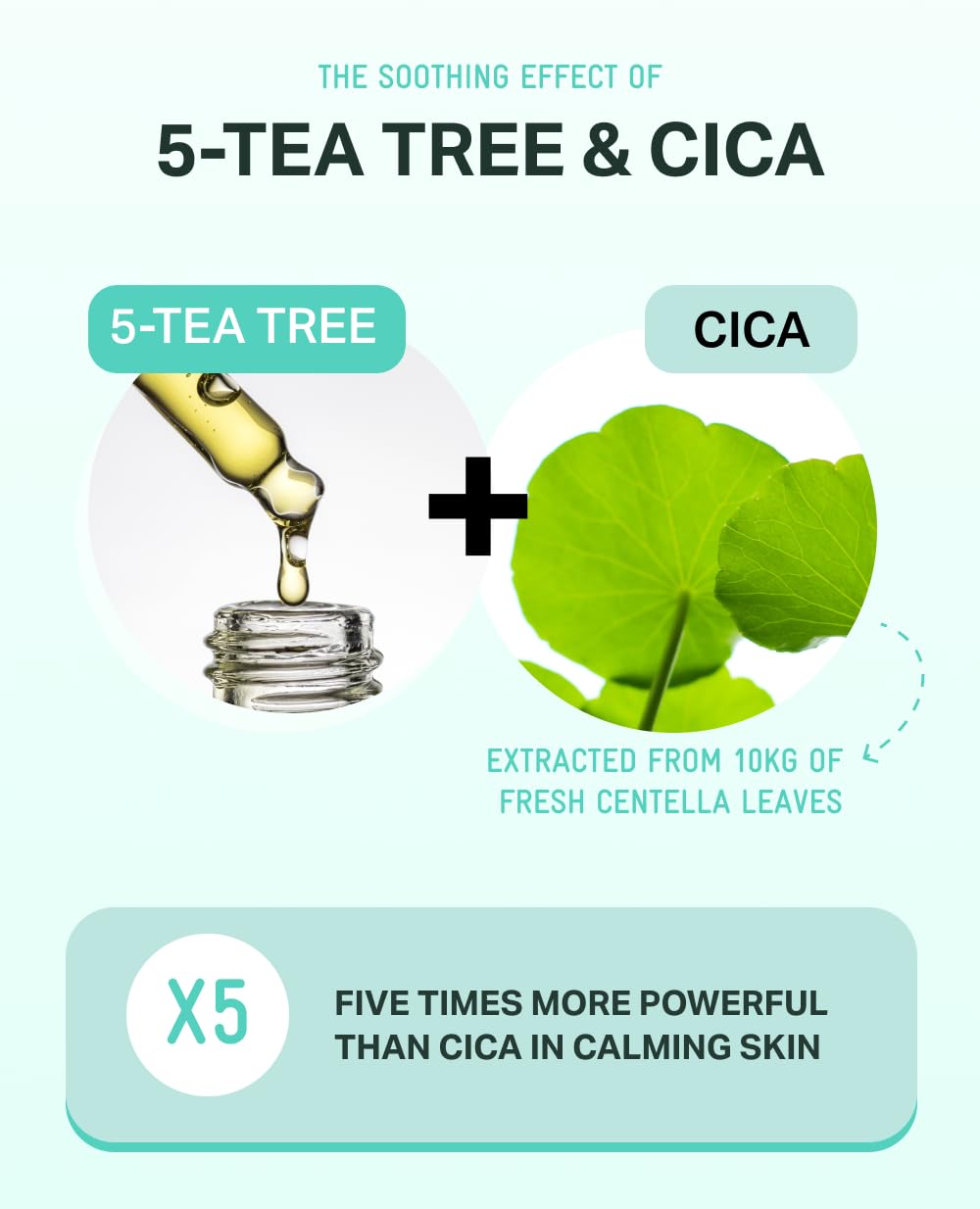 BRING GREEN Tea Tree CICA Toner hand-apply scene for gentle layering