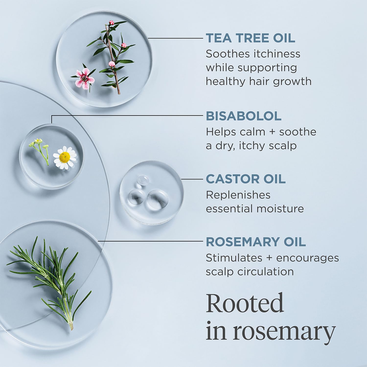 Briogeo Biotin and ceramides support stronger-looking hair strands.