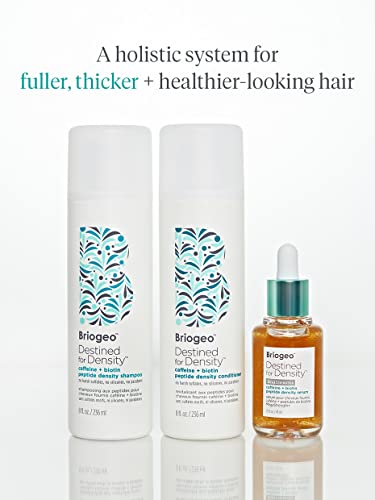 Briogeo Destined For Density packaging detail conveys premium design