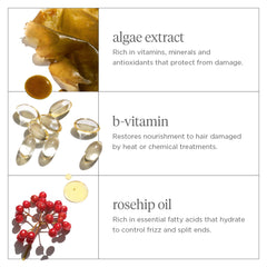 Briogeo Don't Despair Repair with algae extract offers antioxidant nourishment.