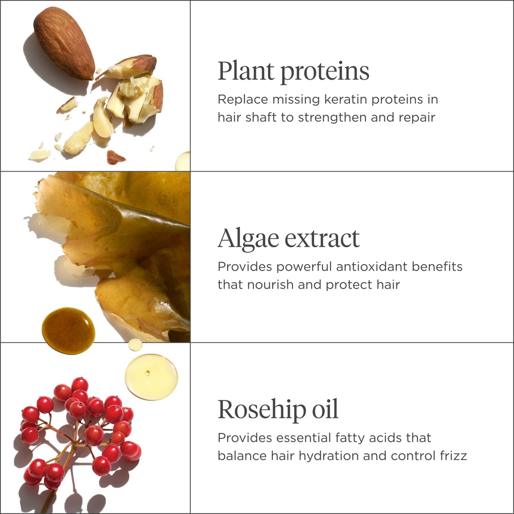 Briogeo Don't Despair Repair Mask on wet hair signals preparation for conditioning.