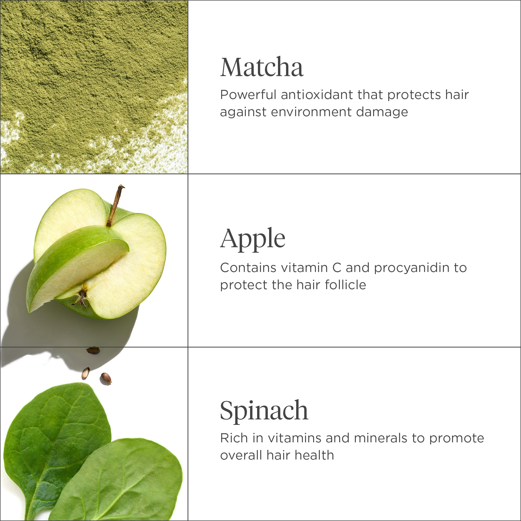 Briogeo Matcha en gros plan, feuilles de matcha pour cheveux équilibrés.