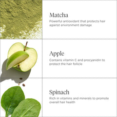 Briogeo Matcha en gros plan, feuilles de matcha pour cheveux équilibrés.