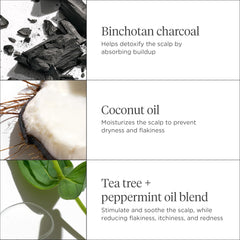 Briogeo Scalp Revival micro-exfoliant particles illustrating gentle debris removal