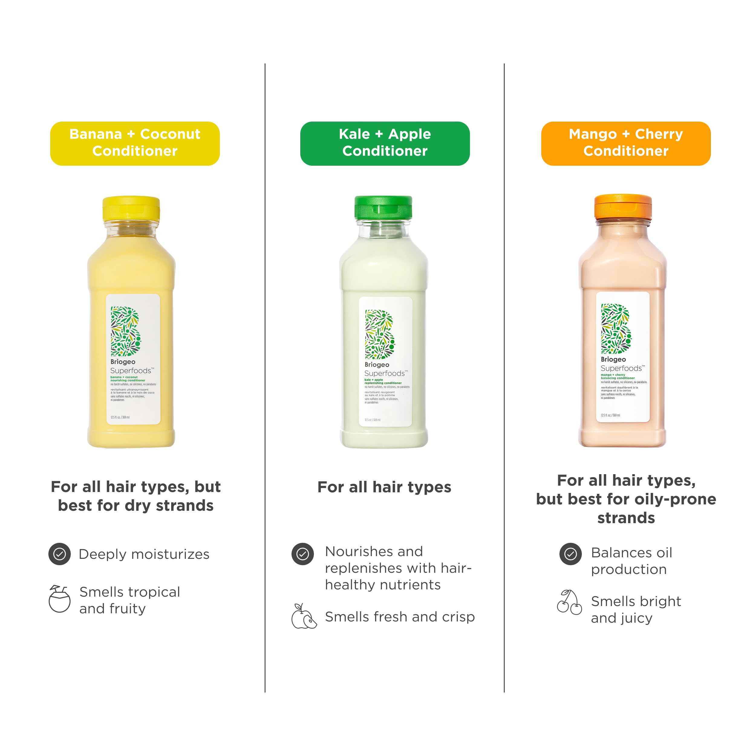 Balanced-to-dry hair use case shown with Briogeo conditioner on shelf.