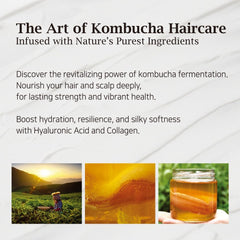 British M Kombucha Hair Mask packaging closeup emphasizing quality formula