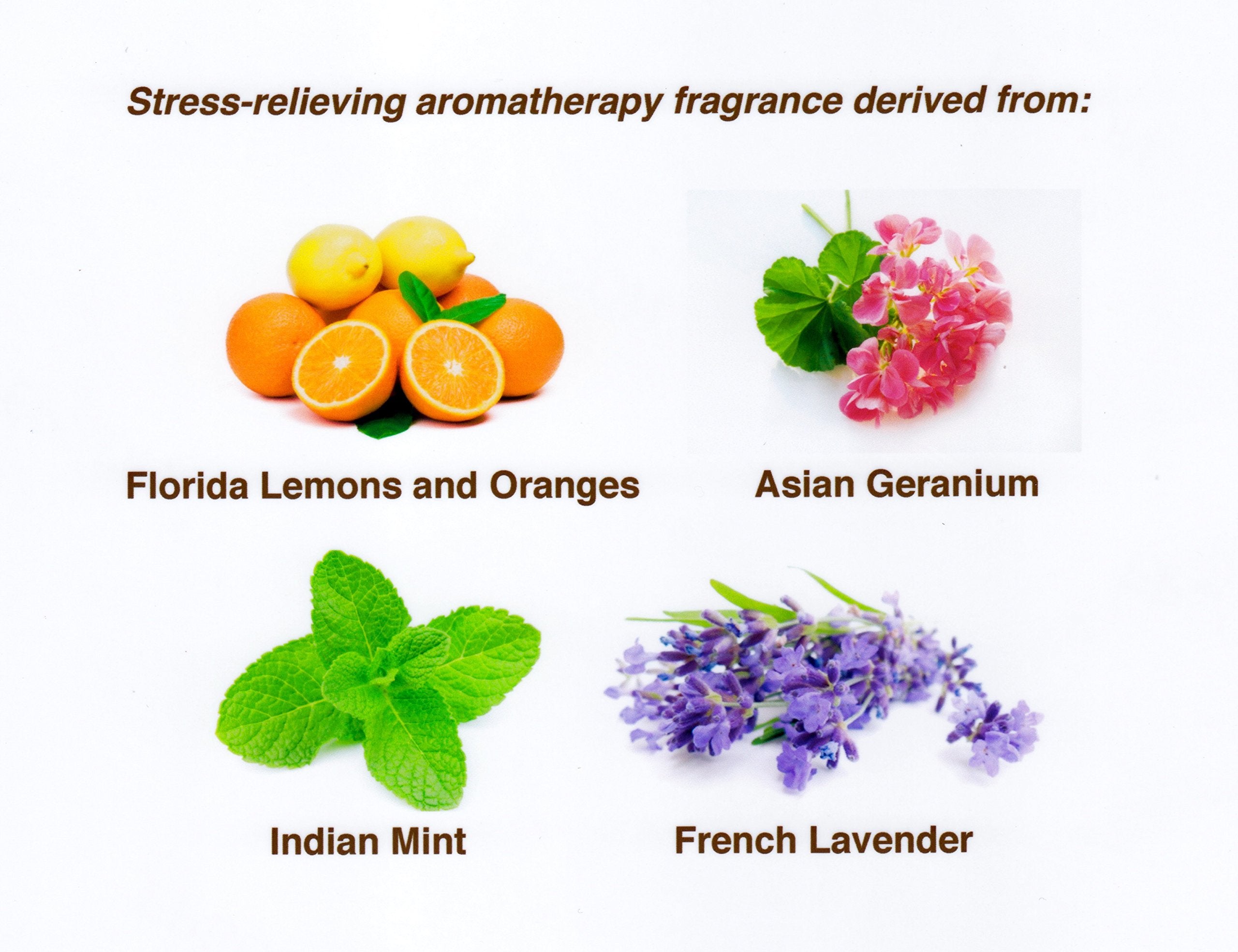 Bronzo Sensuale aromatherapy fragrance infusion creates a calming sun-care ritual