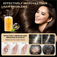 BSMAX Ginger Plant Extract Shampoo boosts hair volume and thickness